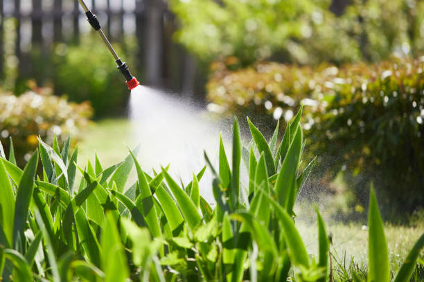 24/7 Emergency Mosquito Control experts in Vine Grove, KY